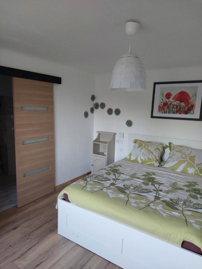 Les Hirondelles Apartment Laquenexy Ngoại thất bức ảnh